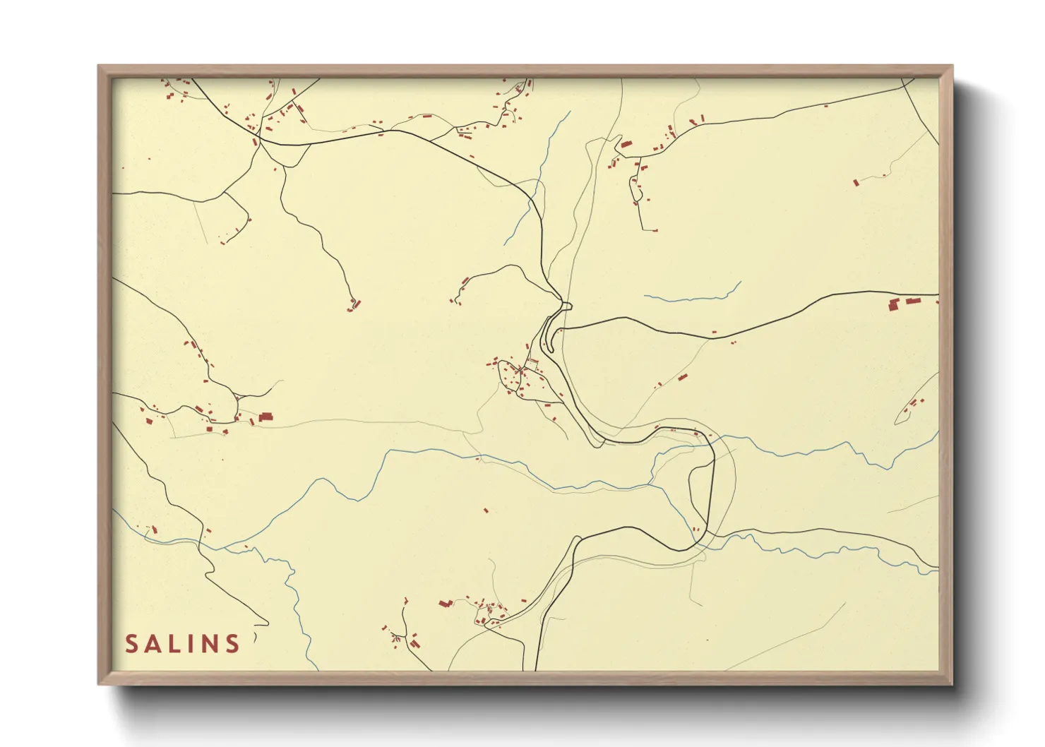 Une affiche de carte sur Salins