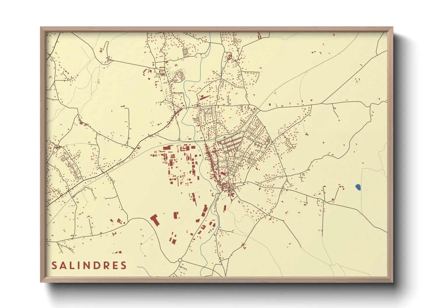 Une affiche de carte sur Salindres