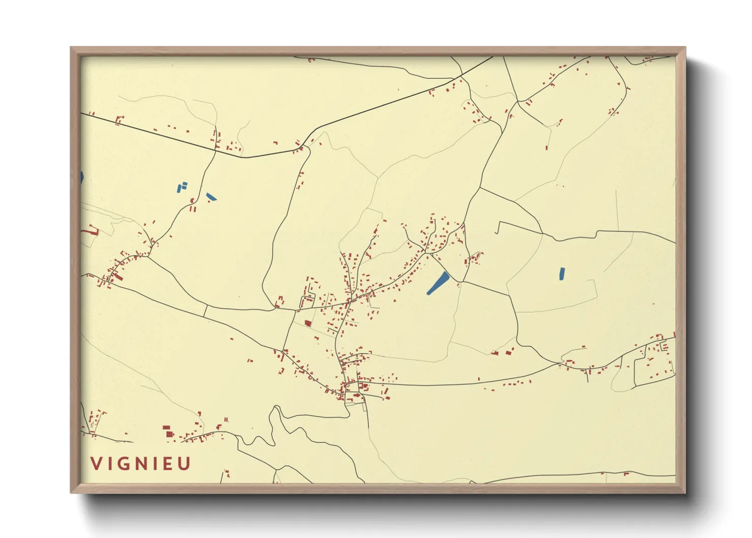 Une affiche de carte sur Vignieu