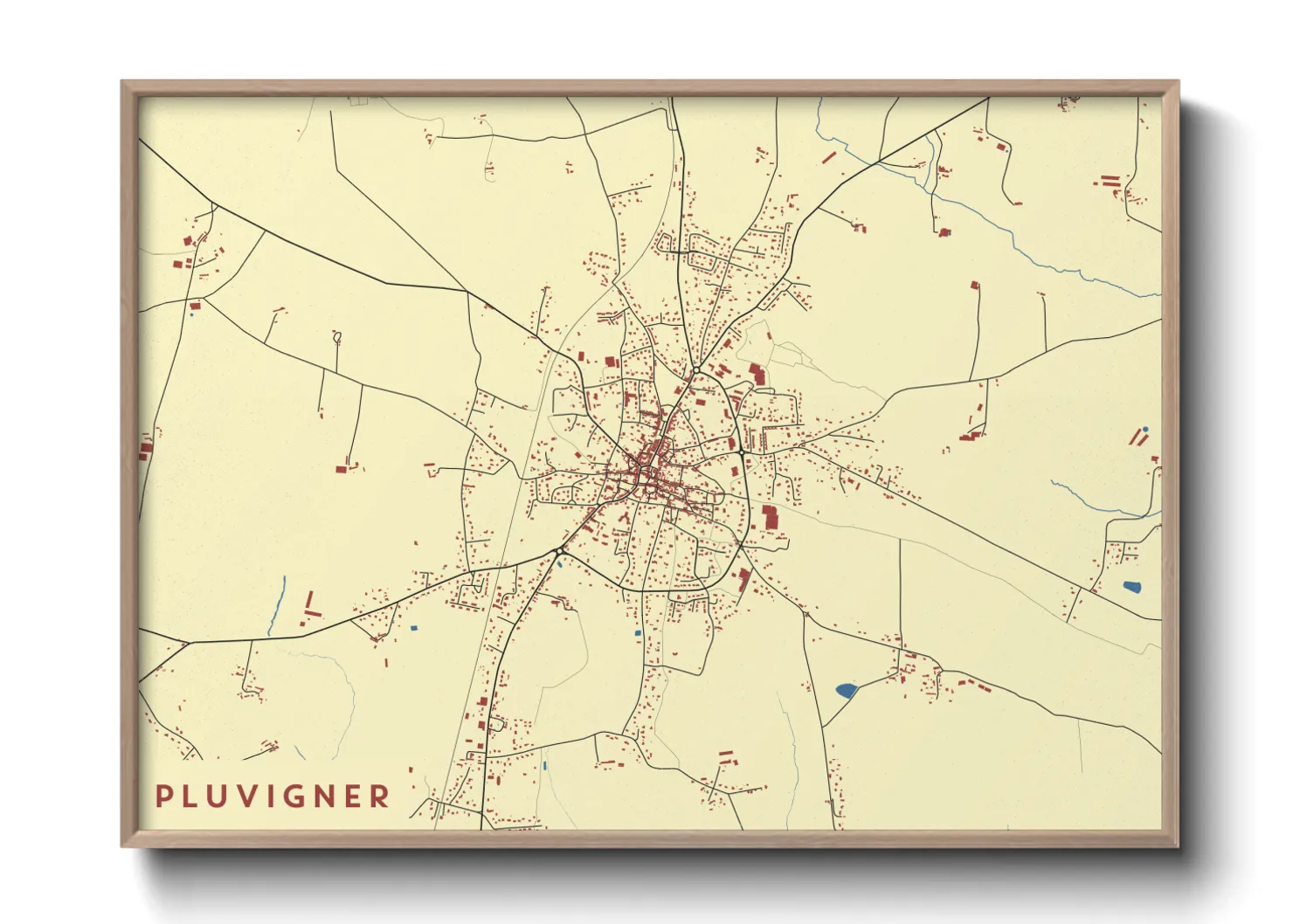 Une affiche de carte sur Pluvigner