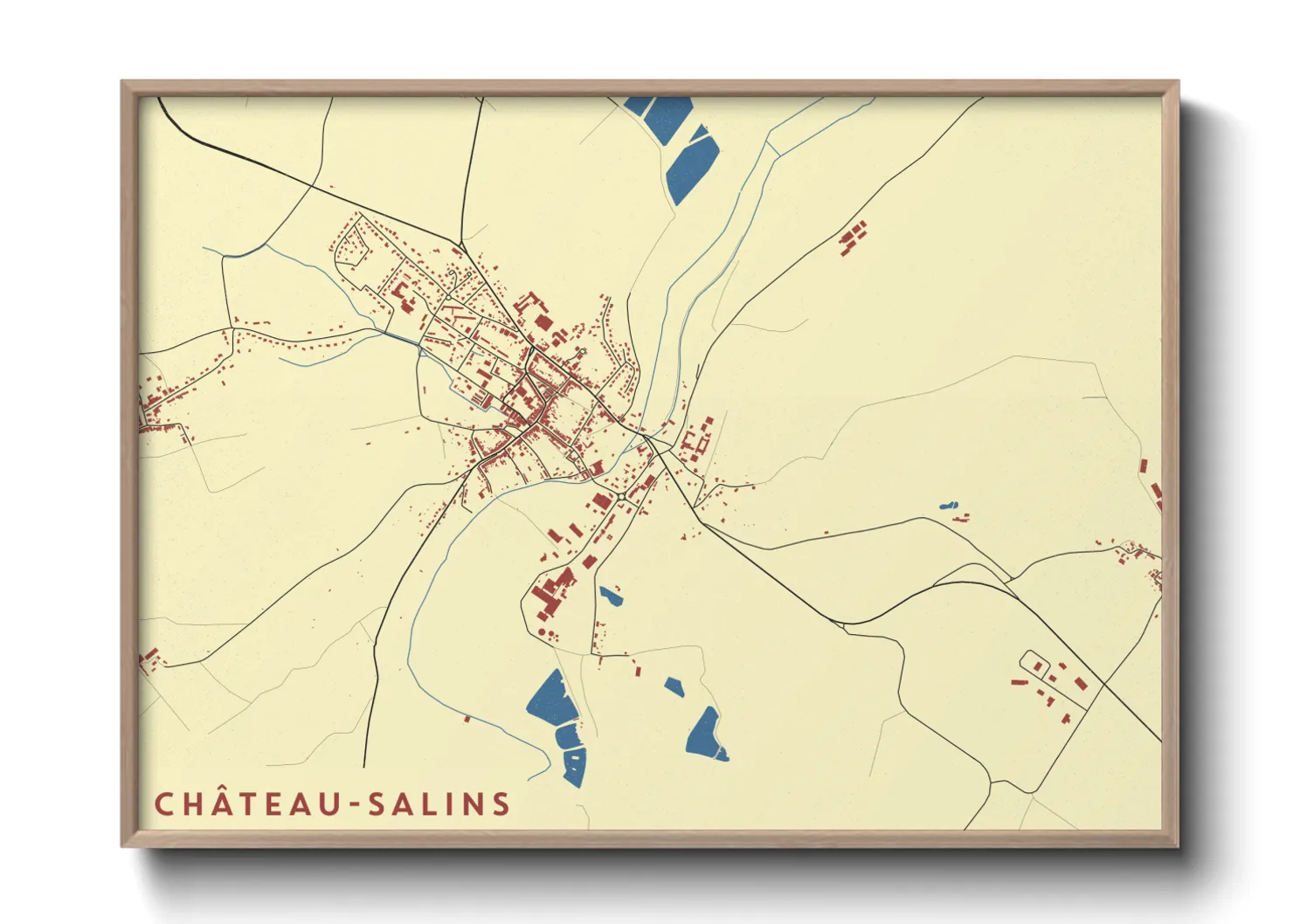 Une affiche de carte sur Château-Salins