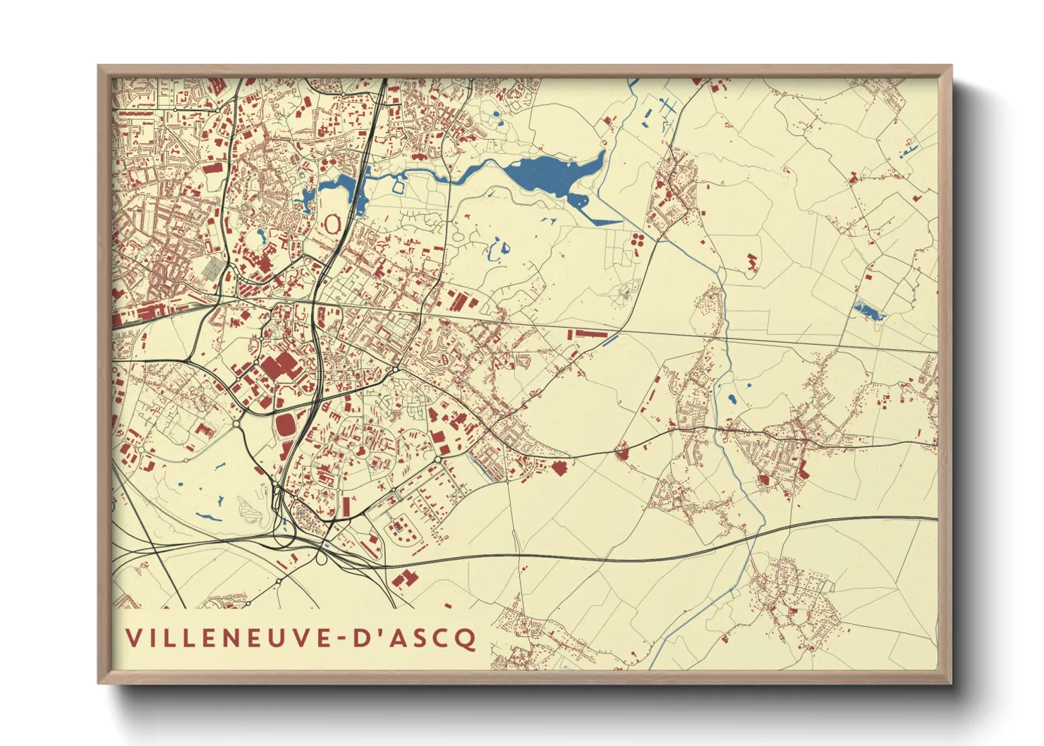 Une affiche de carte sur Villeneuve-d'Ascq