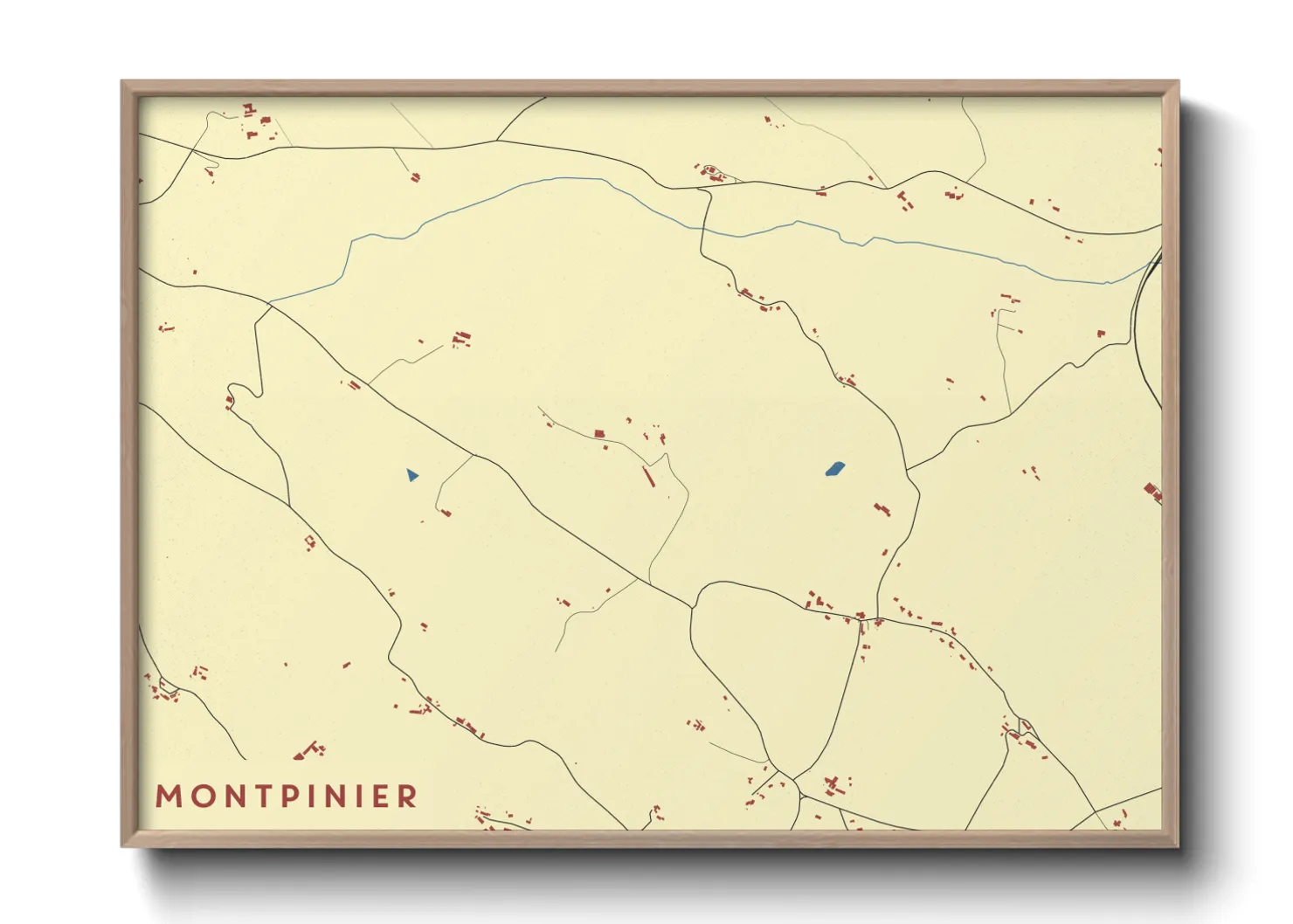 Une affiche de carte sur Montpinier