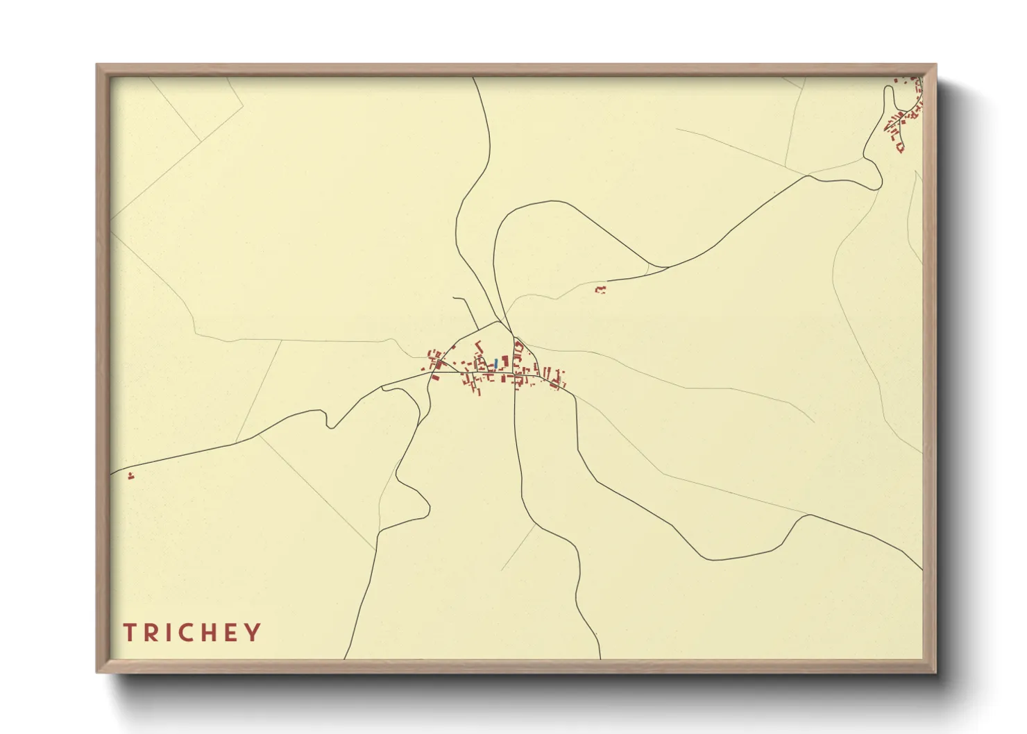Une affiche de carte sur Trichey