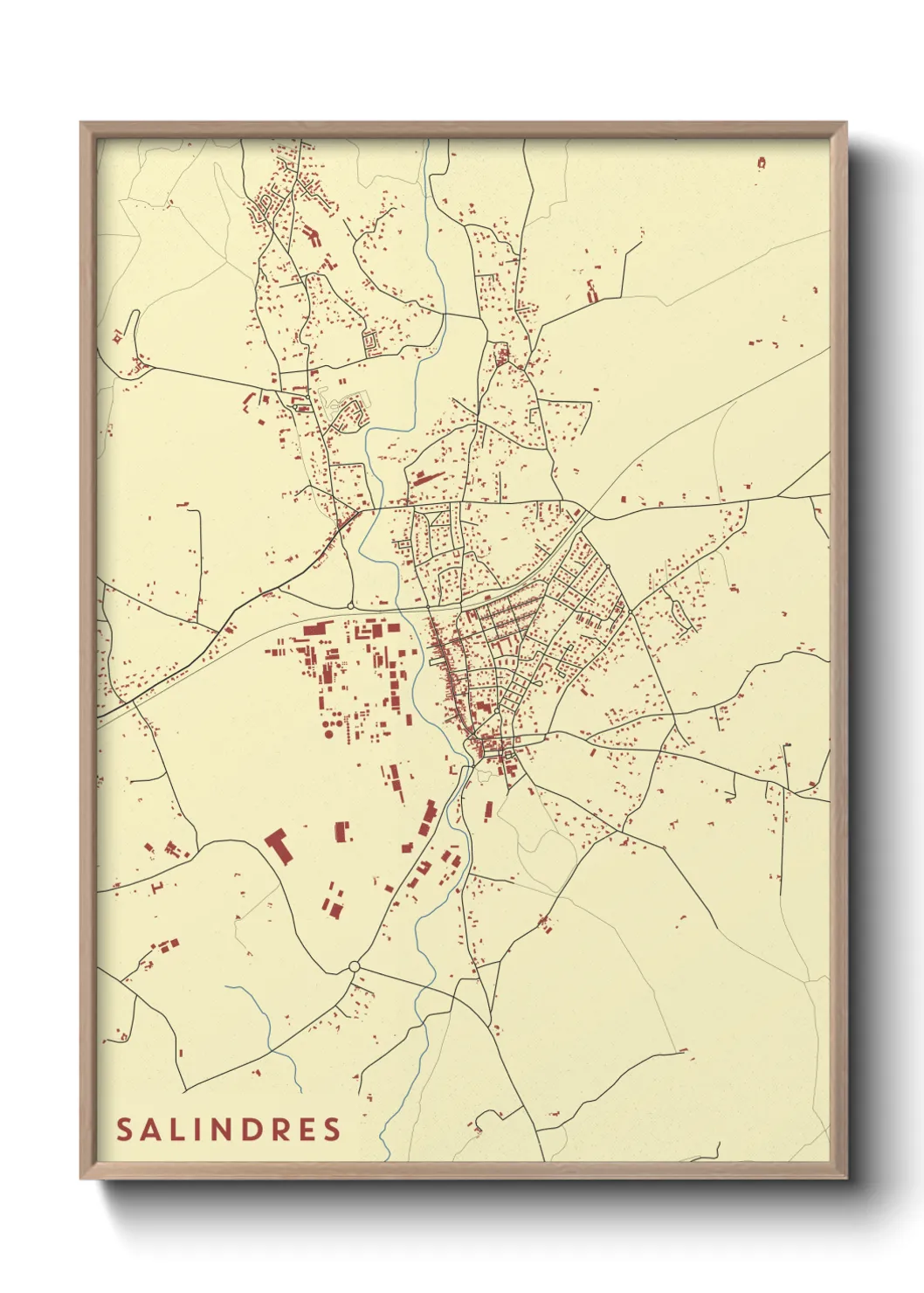 Un poster carteSalindres