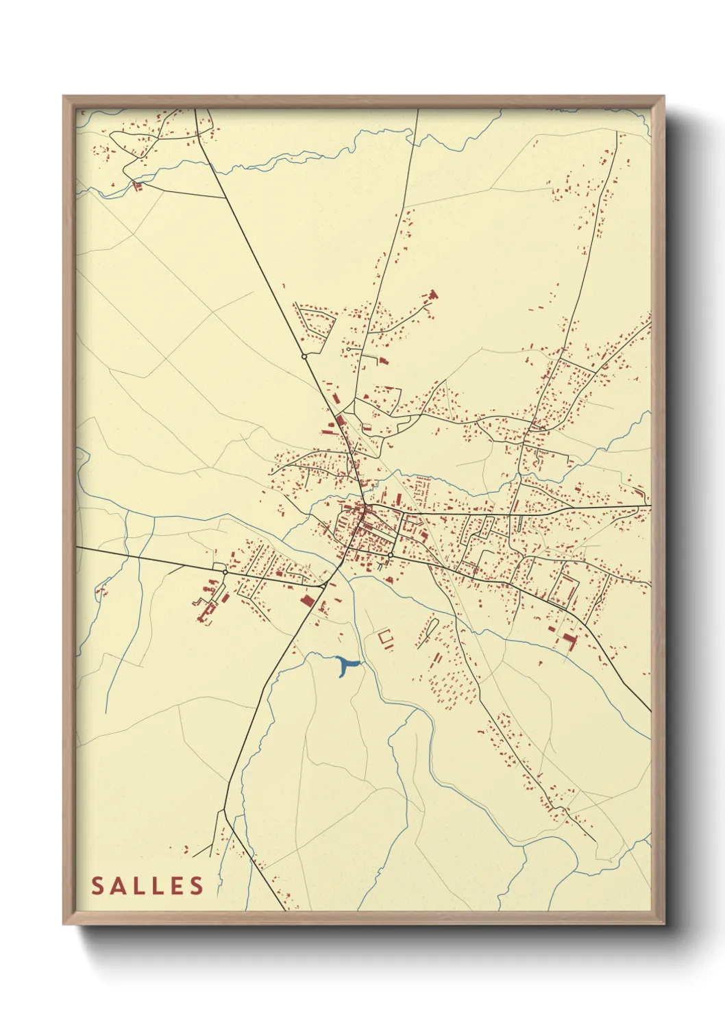 Un poster carteSalles