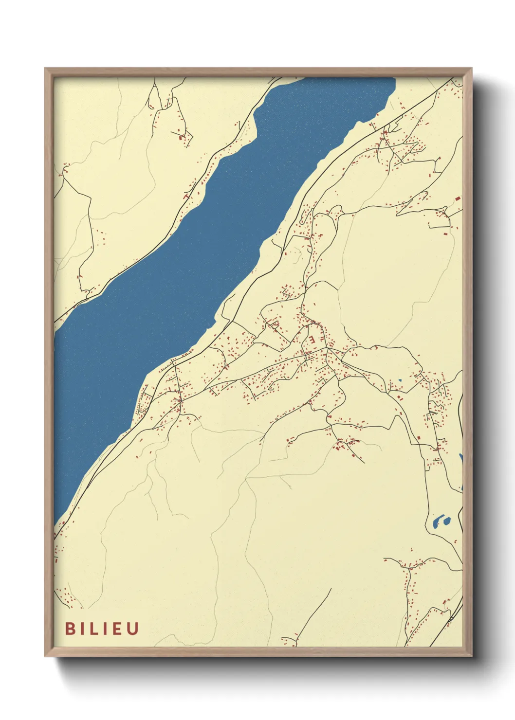 Un poster carteBilieu