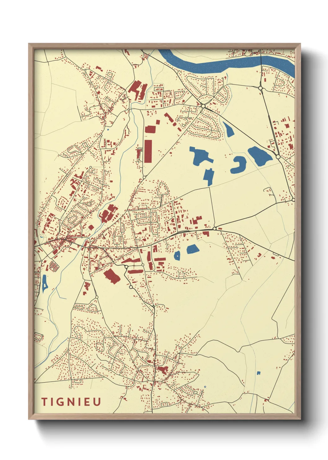 Une affiche de carte sur Tignieu