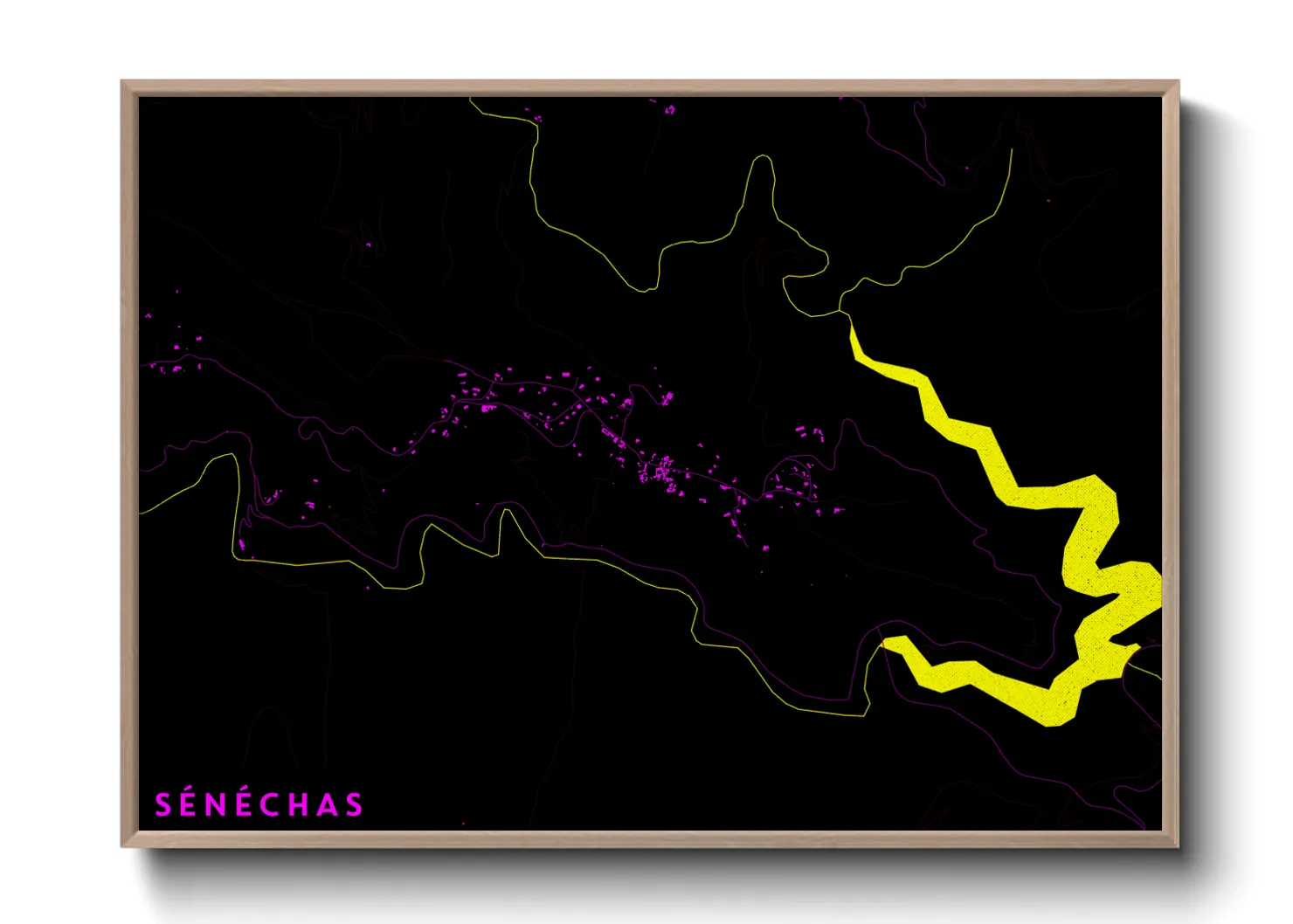 Une affiche de carte sur Sénéchas