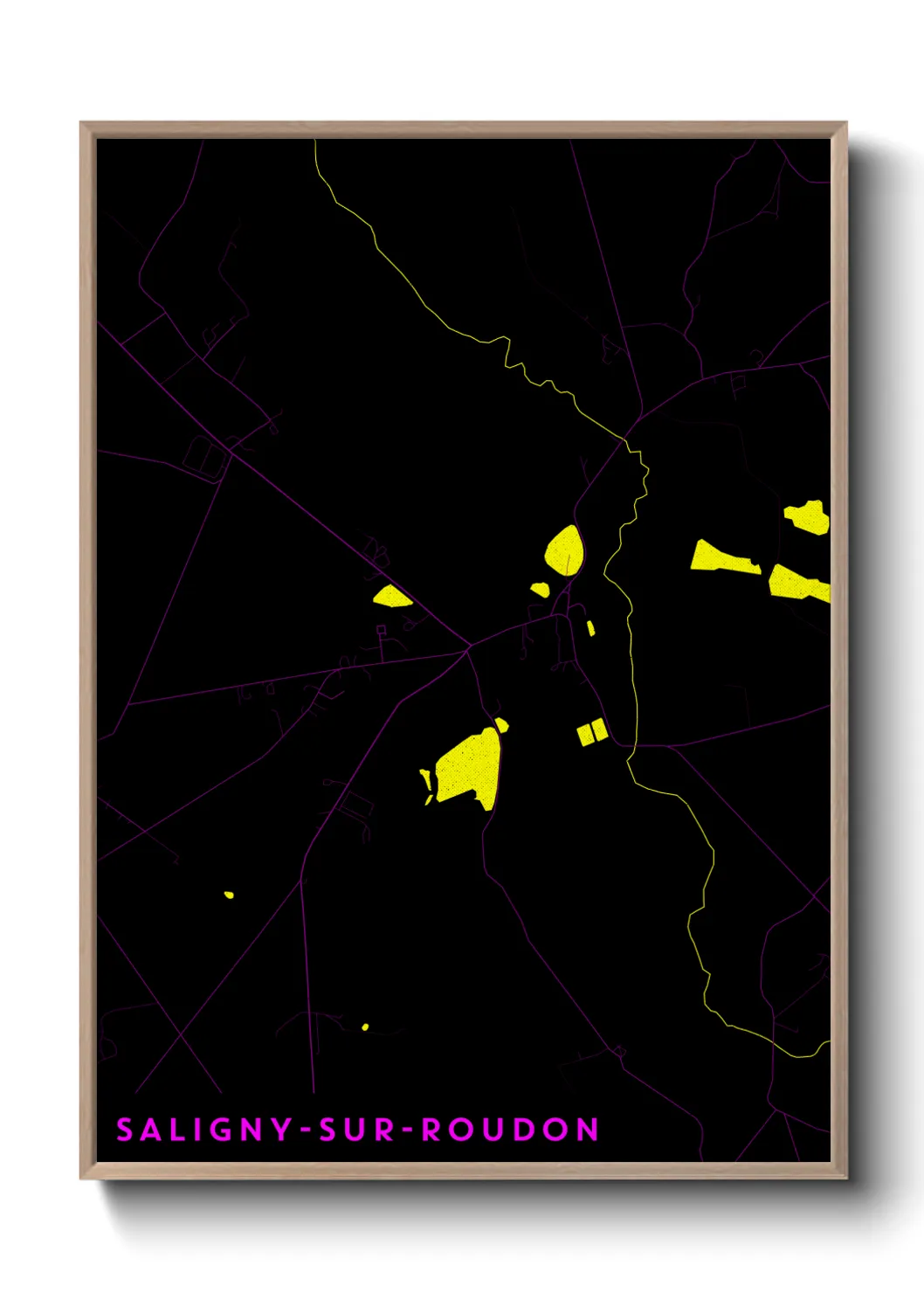 Une affiche de carte sur Saligny-sur-Roudon