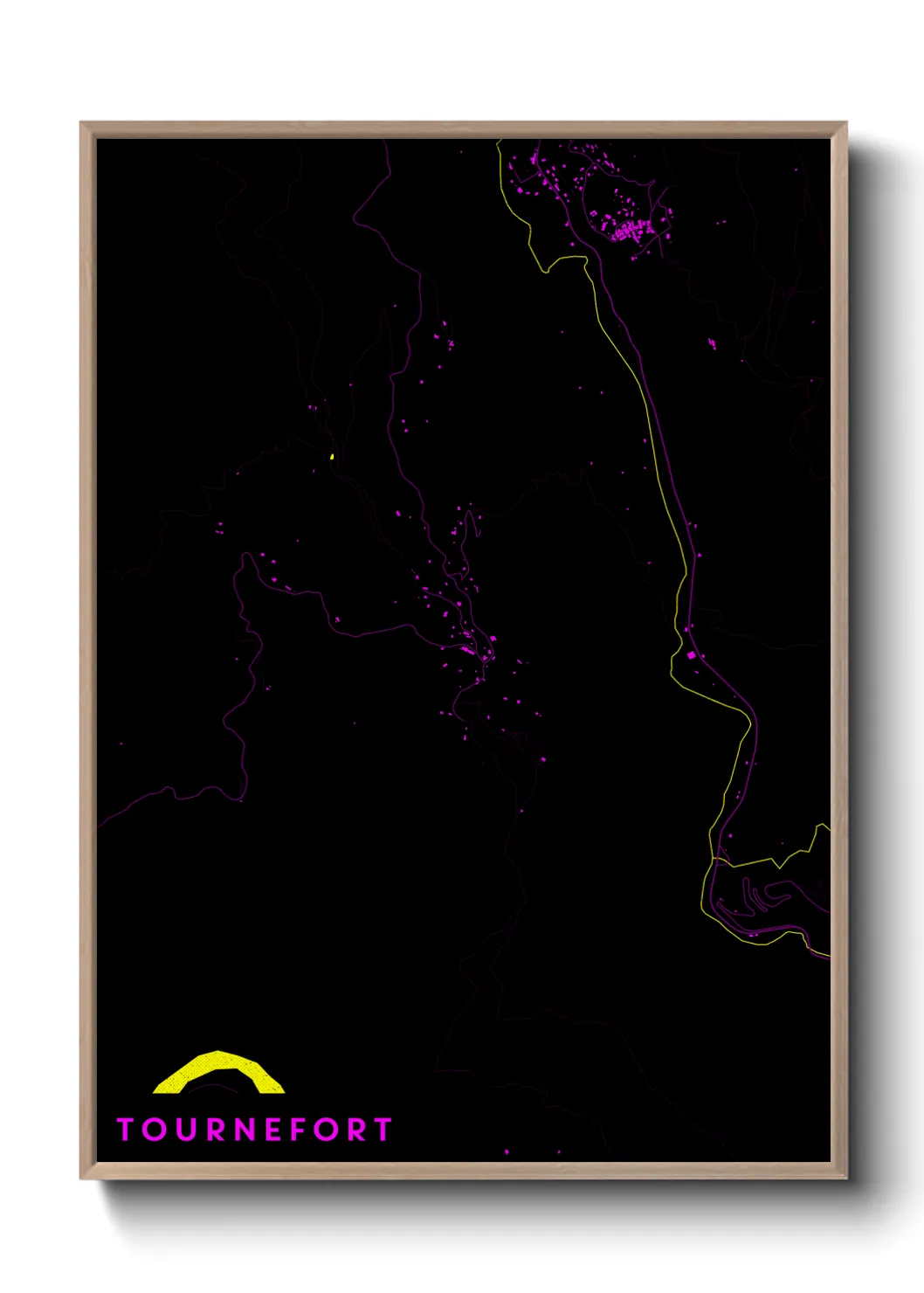 Un poster carteTournefort