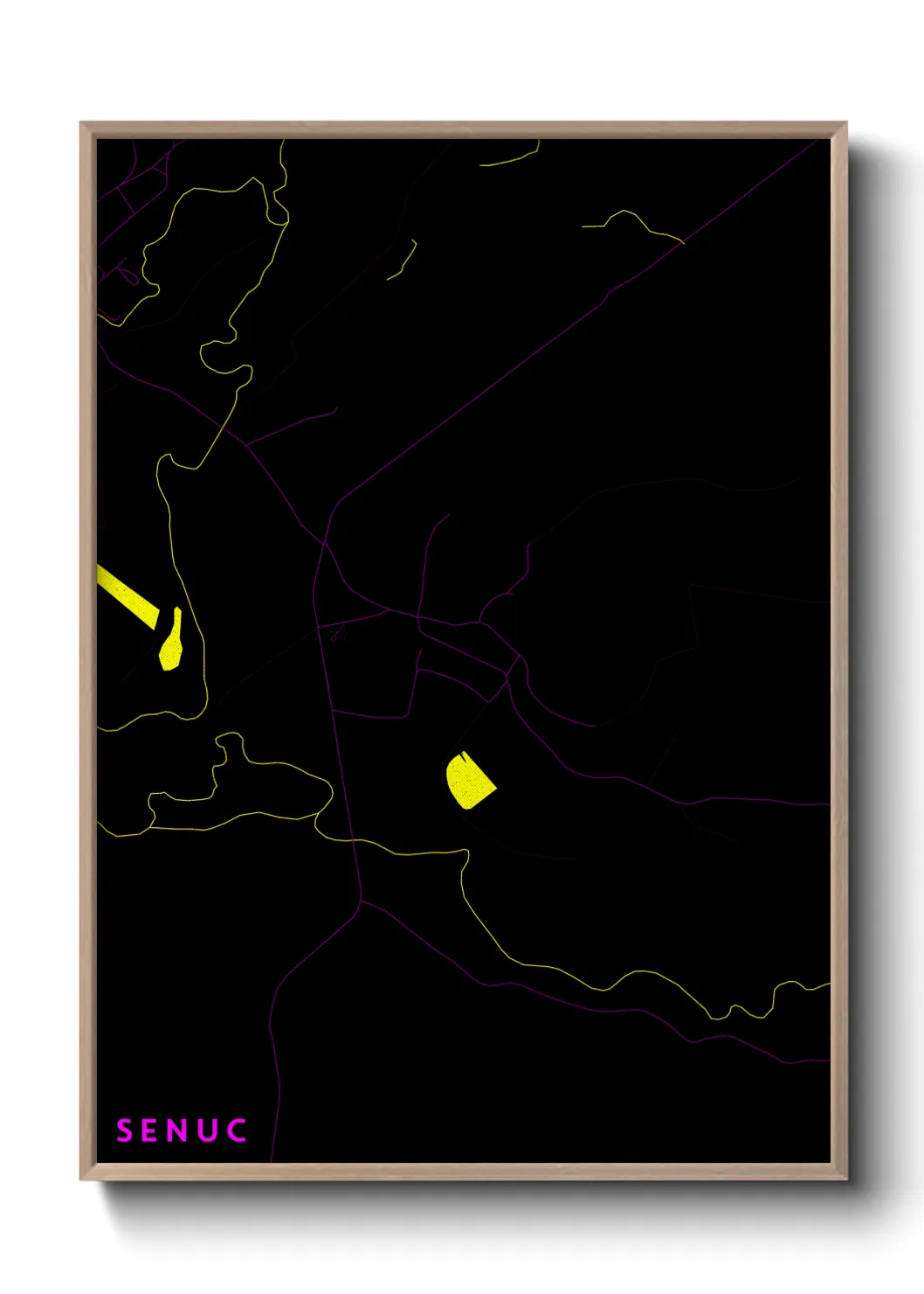 Une affiche de carte sur Senuc