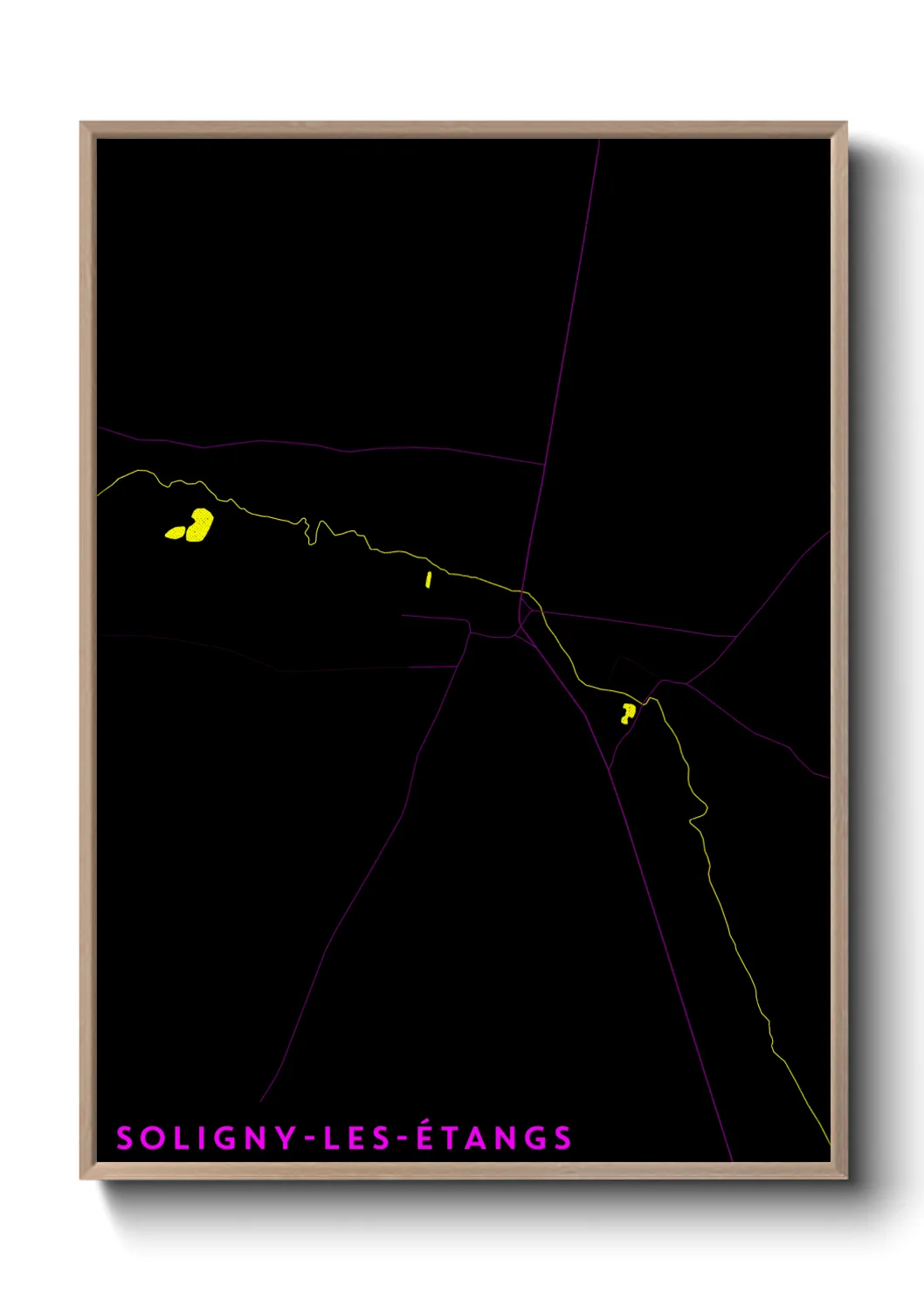 Une affiche de carte sur Soligny-les-Étangs