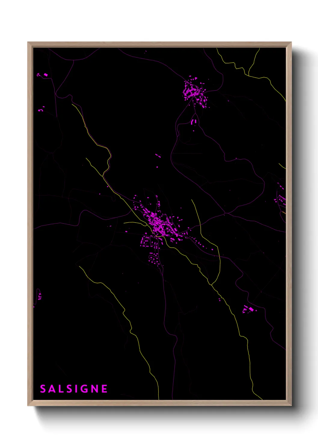 Un poster carteSalsigne