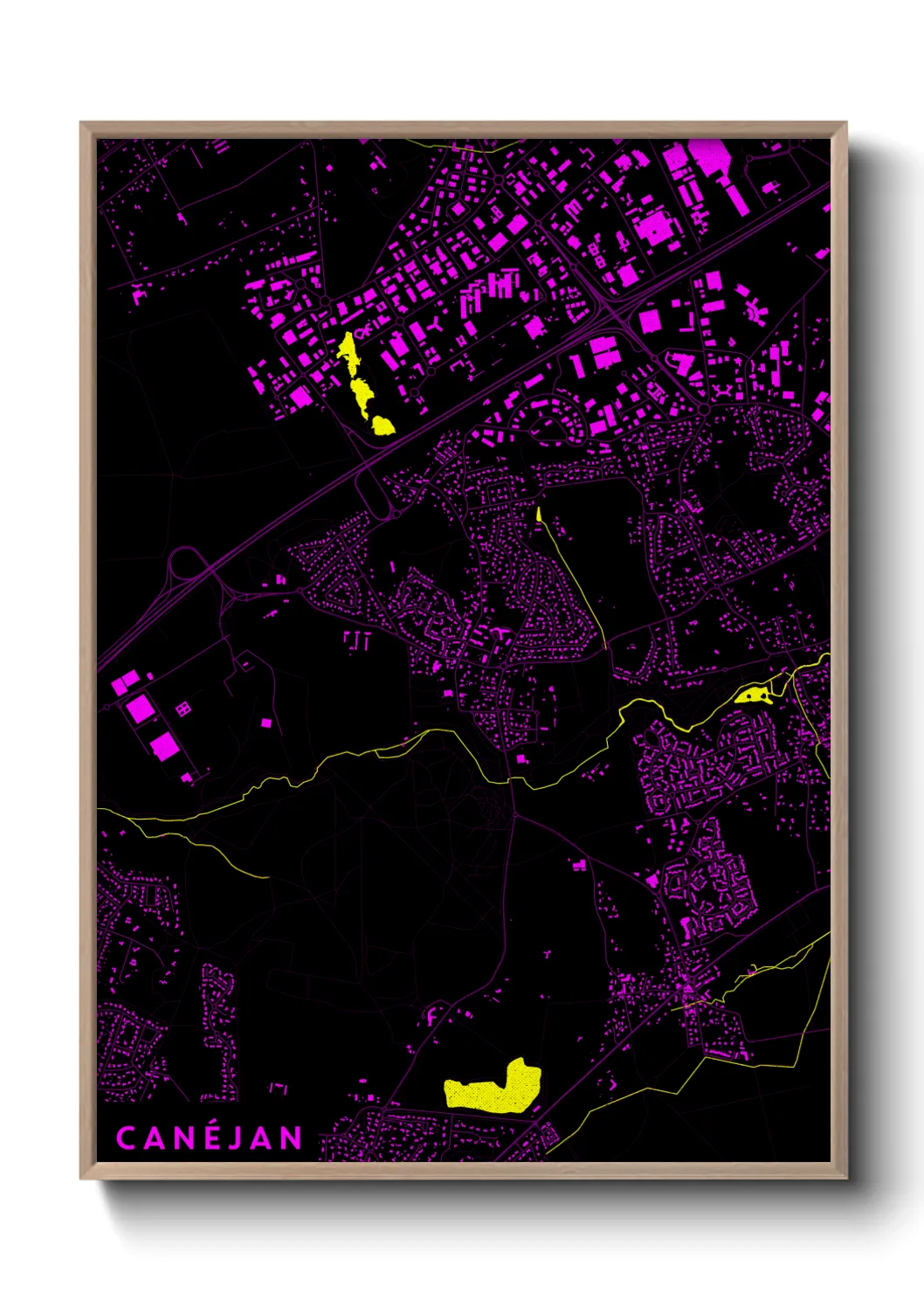 Un poster carteCanéjan