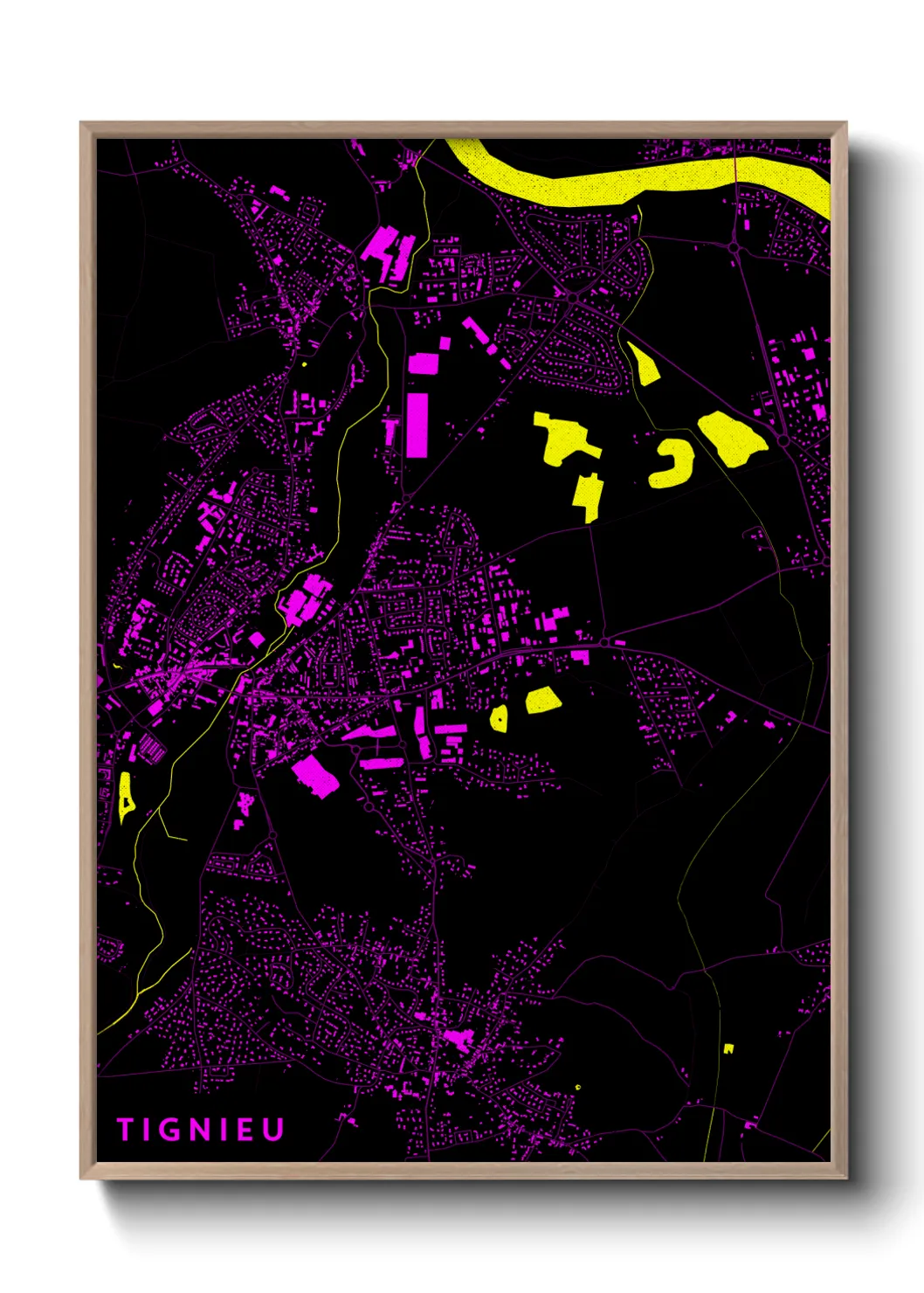 Une affiche de carte sur Tignieu