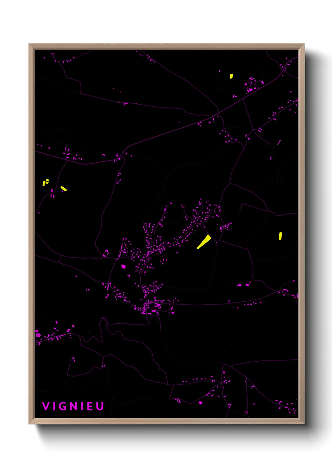 Une affiche de carte sur Vignieu