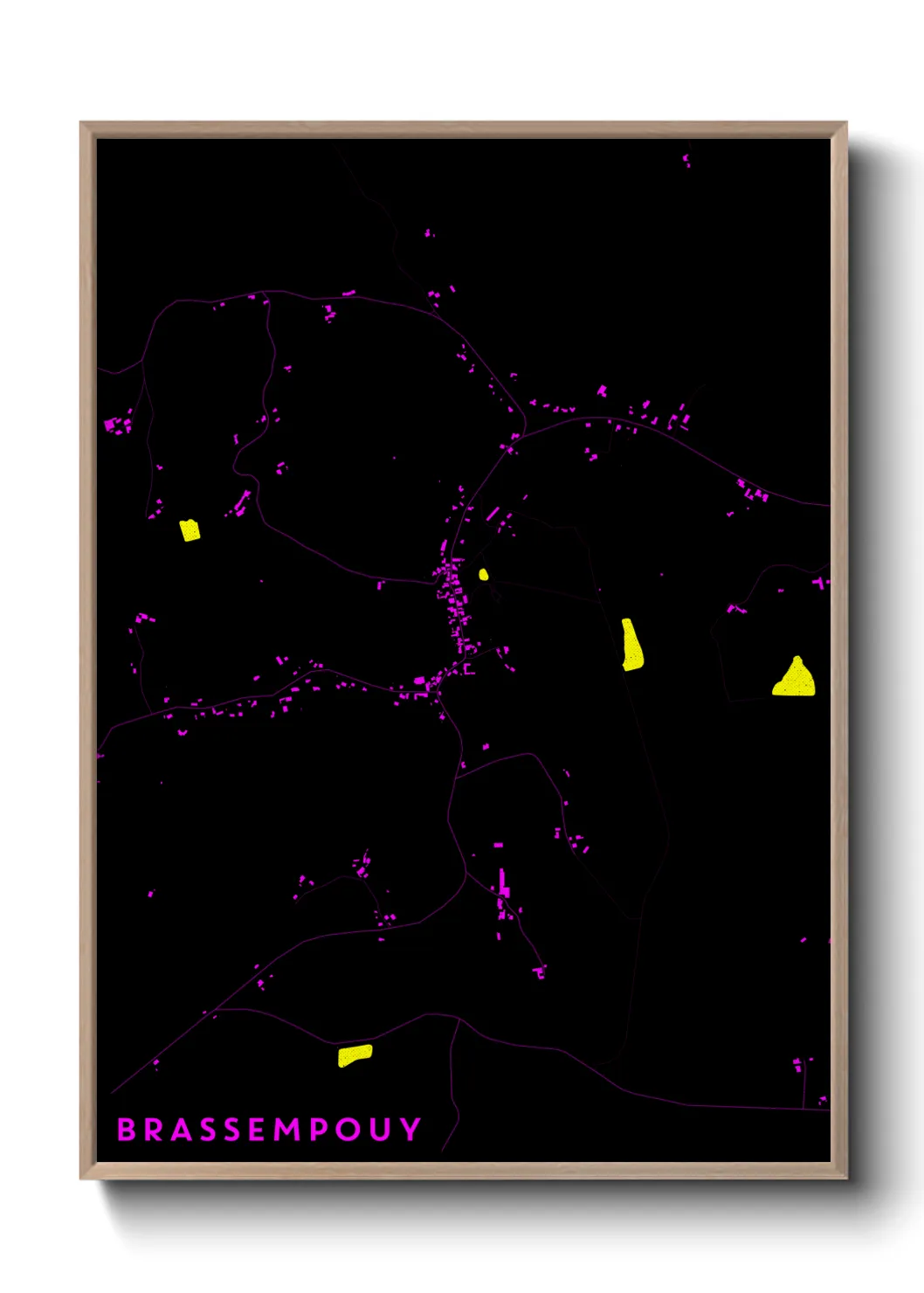 Une affiche de carte sur Brassempouy