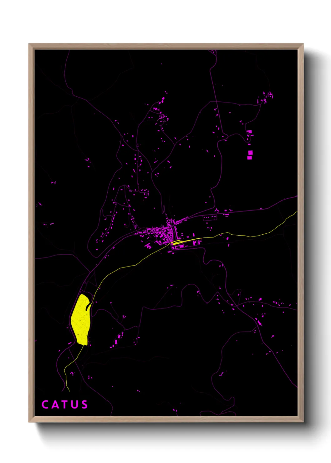 Une affiche de carte sur Catus