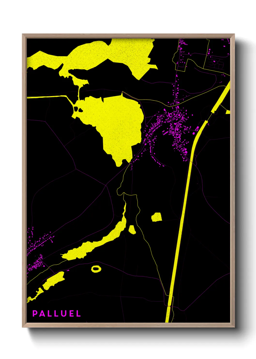 Un poster cartePalluel