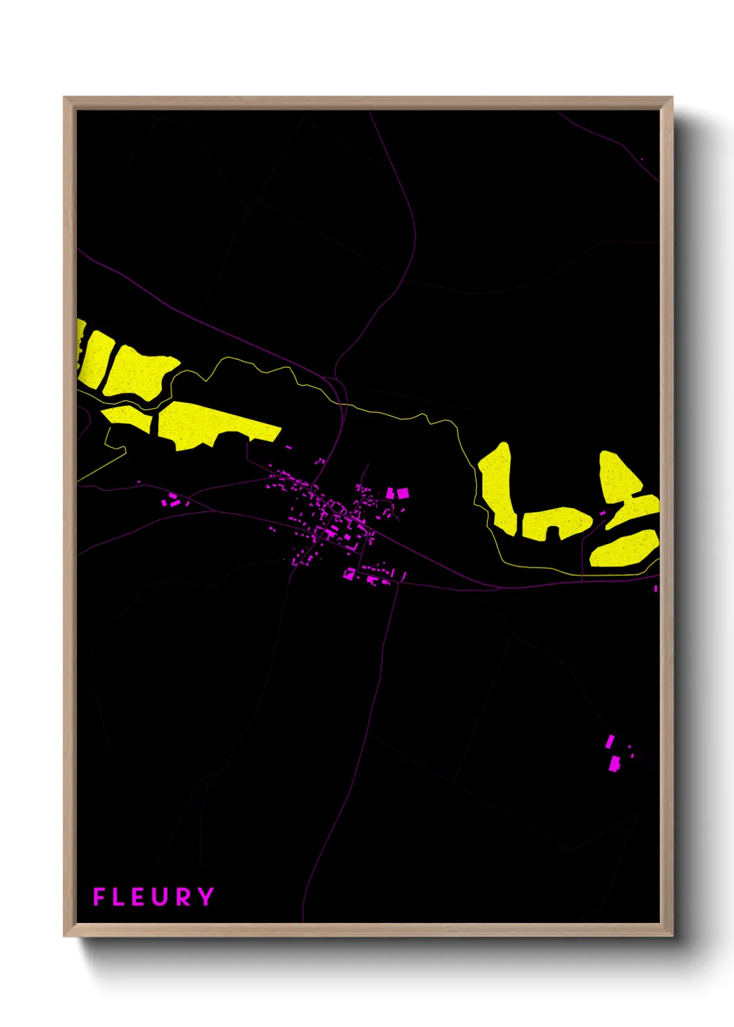 Une affiche de carte sur Fleury