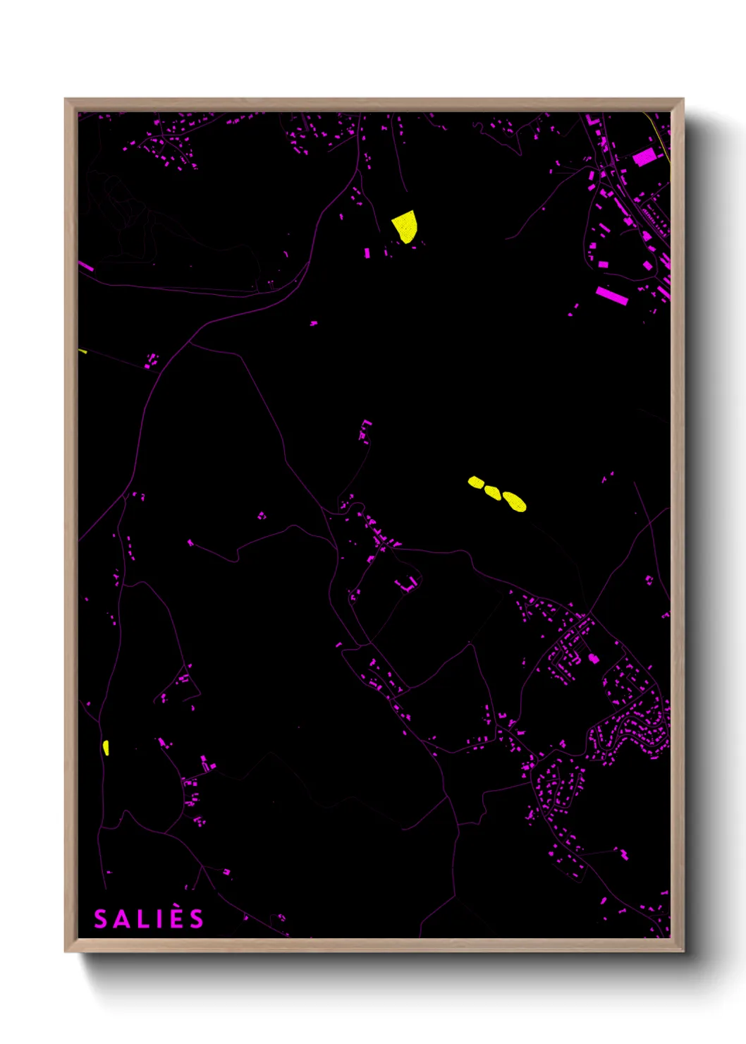 Un poster carteSaliès