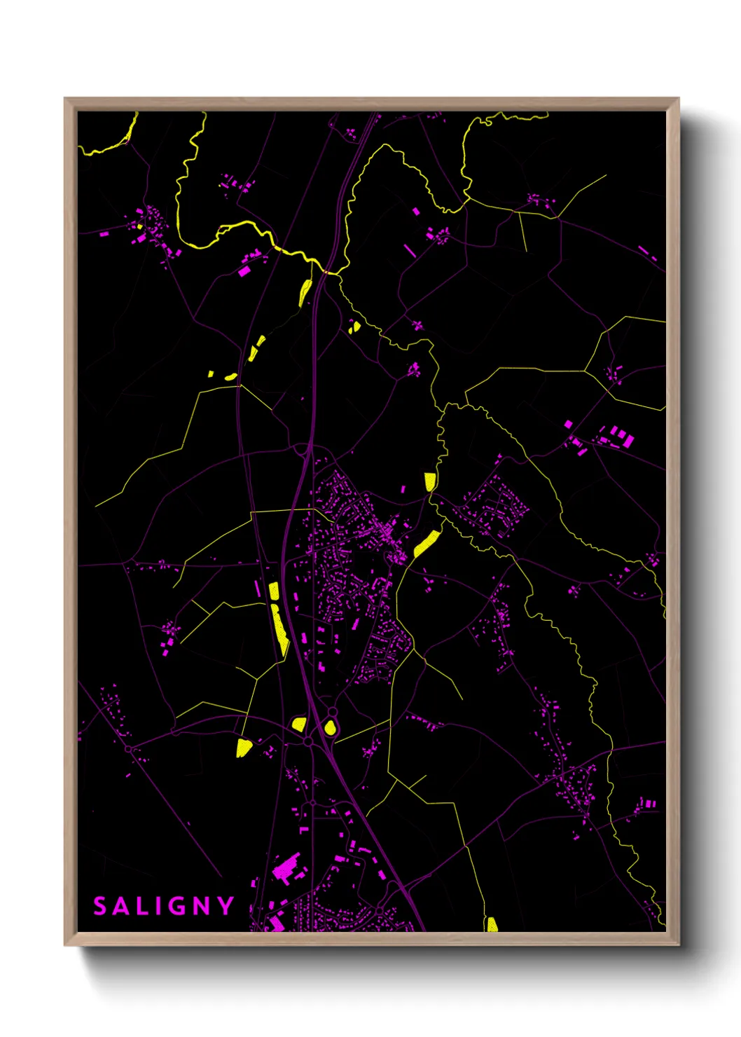 Un poster carteSaligny