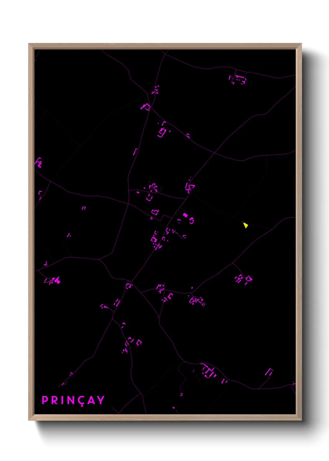 Une affiche de carte sur Prinçay