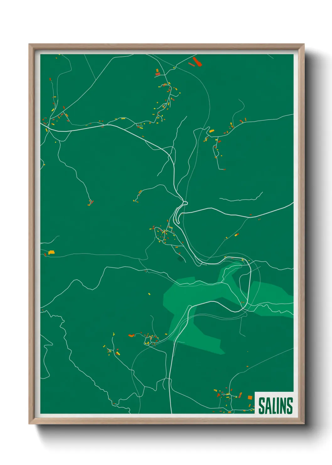 Un poster carteSalins