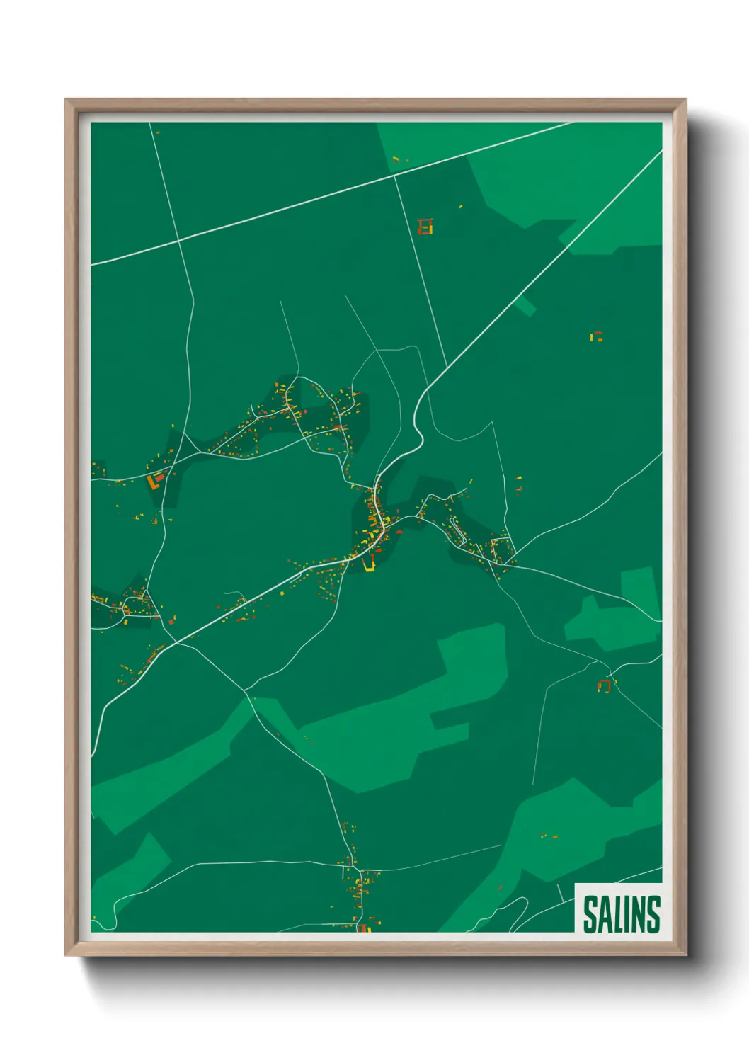 Une affiche de carte sur Salins