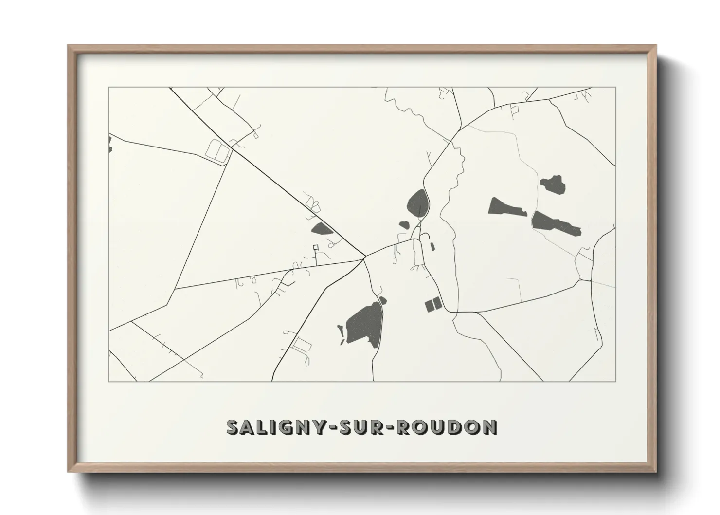 Une affiche de carte sur Saligny-sur-Roudon