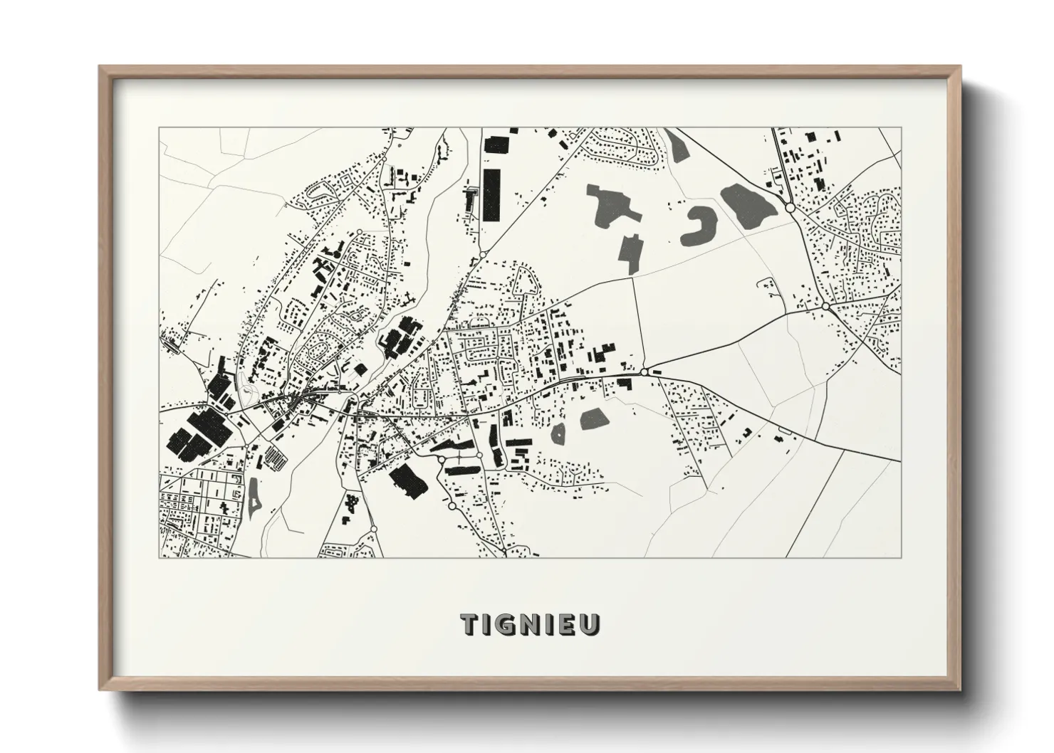 Une affiche de carte sur Tignieu