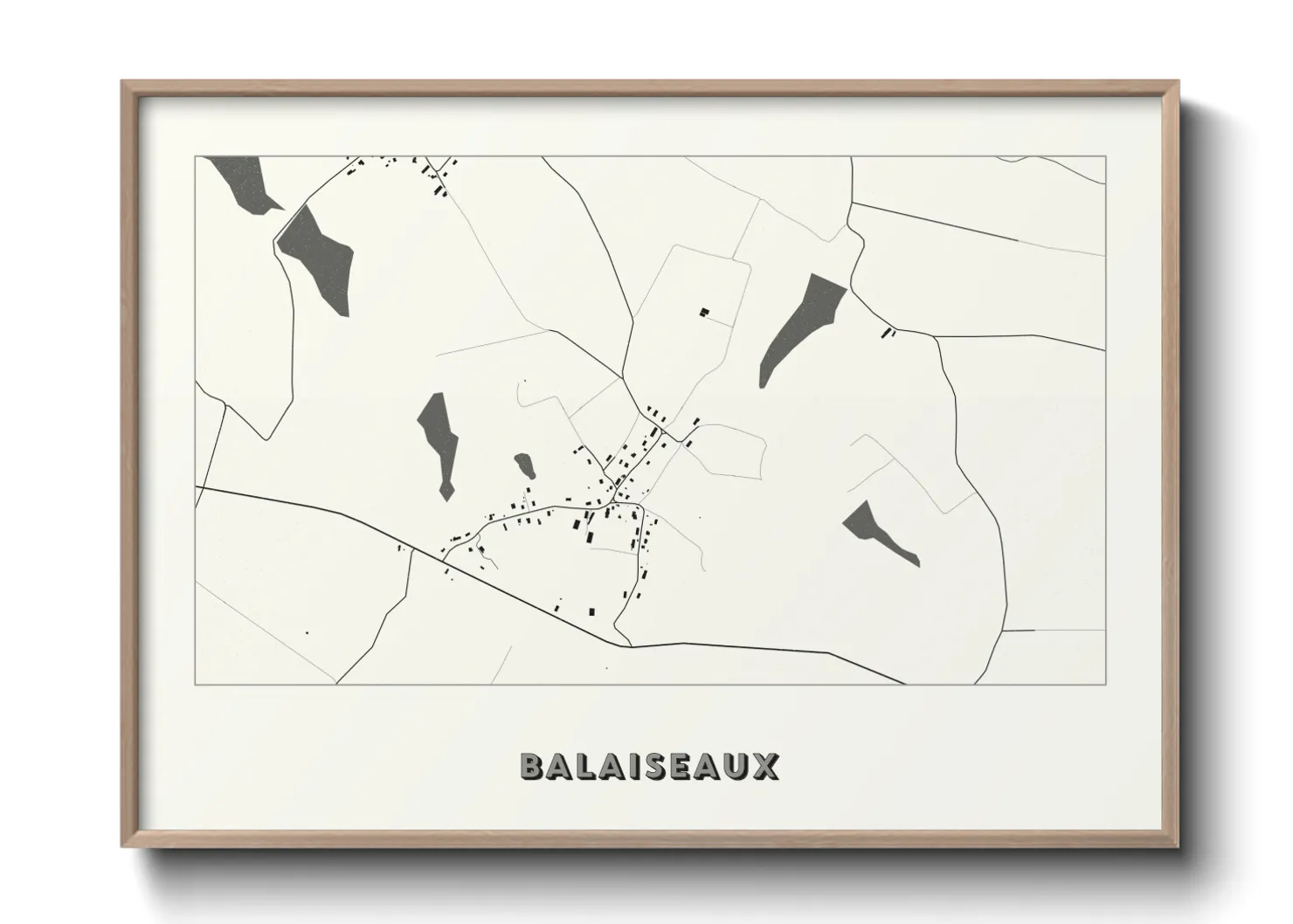 Une affiche de carte sur Balaiseaux