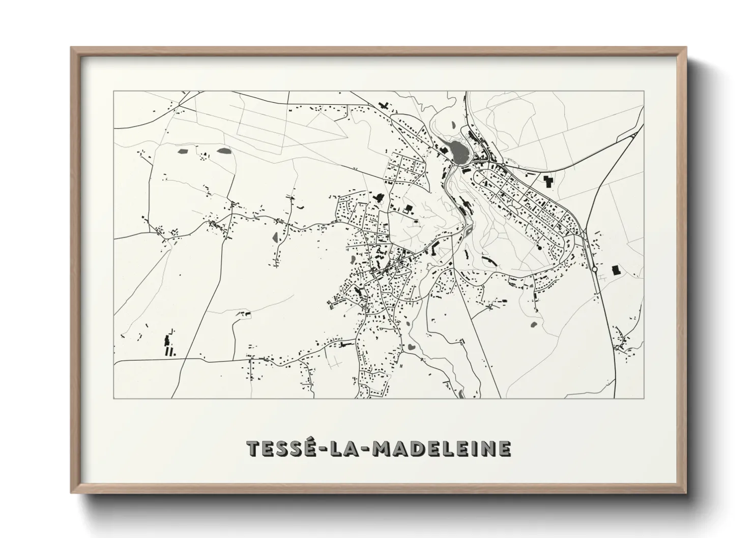 Une affiche de carte sur Tessé-la-Madeleine