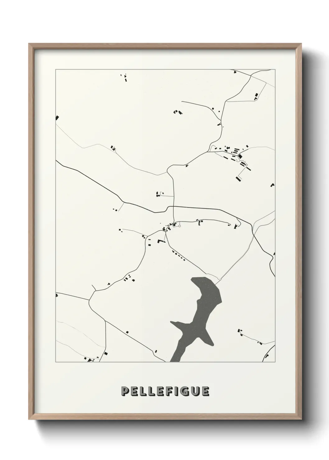 Un poster cartePellefigue