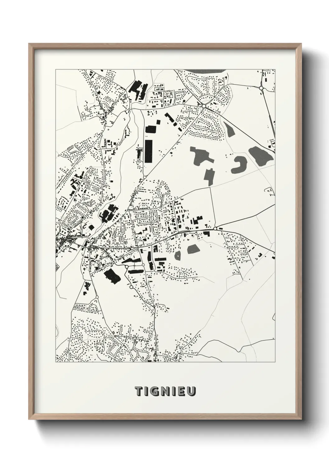 Une affiche de carte sur Tignieu