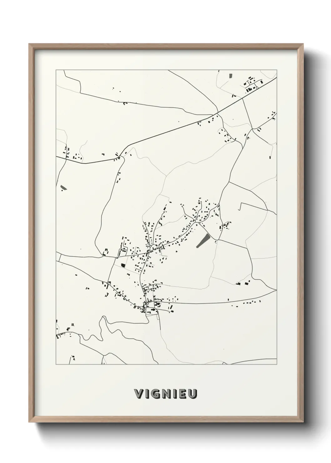 Un poster carteVignieu