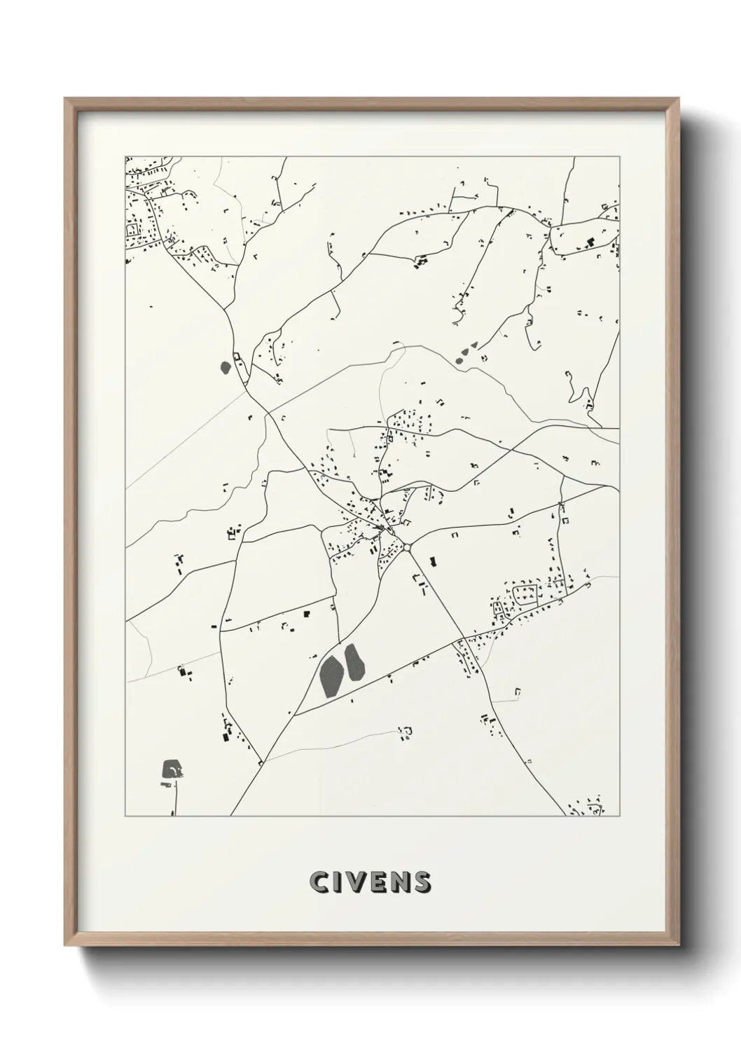 Un poster carteCivens